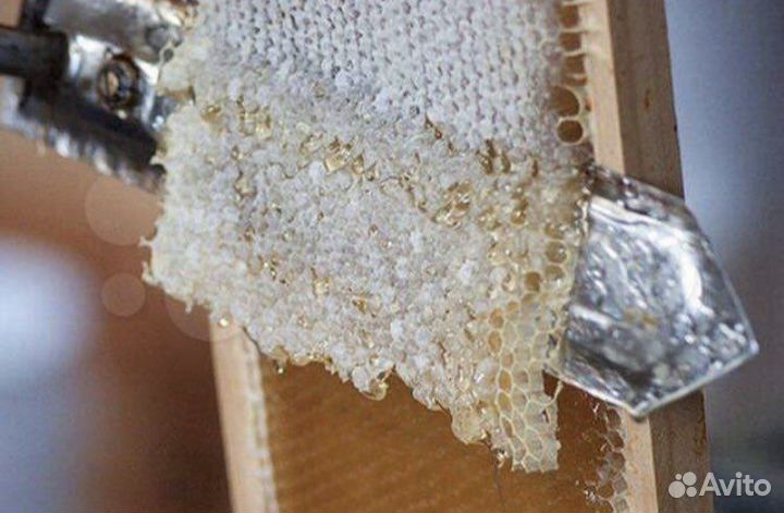 Забрус-печатка меда