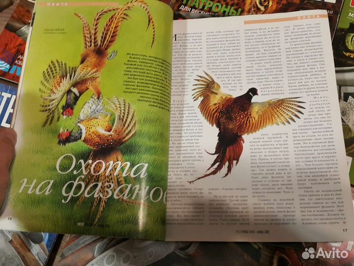 Коллекция Мастер ружье 10 шт