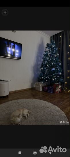 Елка искусственная литая 210 бу