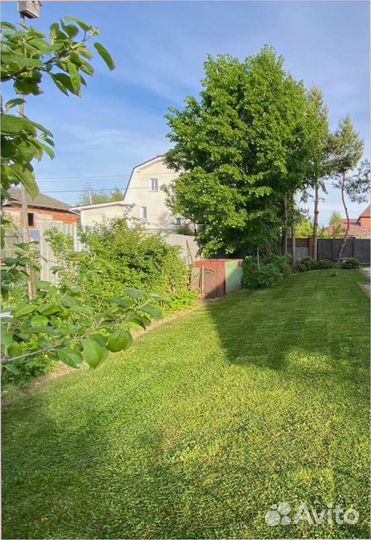 Рулонный газон