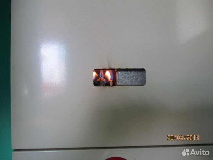 Колонка сибирячка