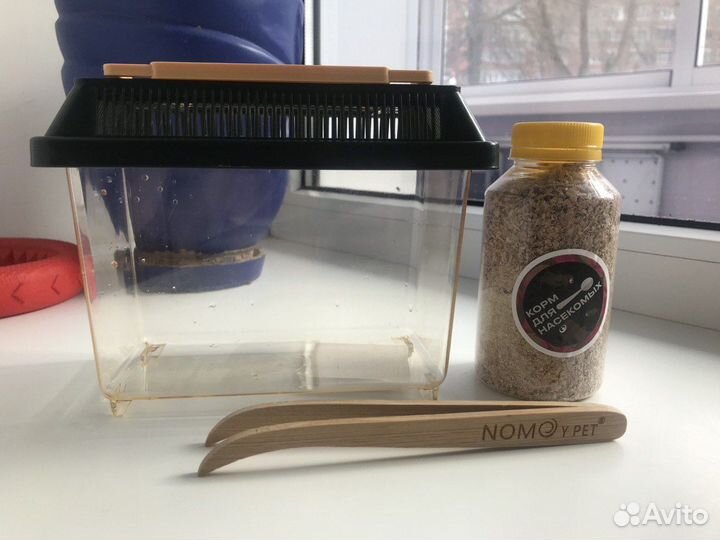 Контейнер для насекомых