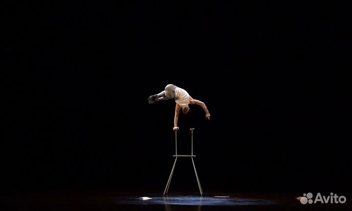 Артисты на праздник