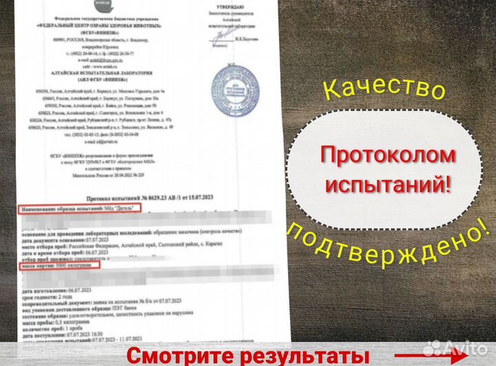 Мед дягилевый темный оптом