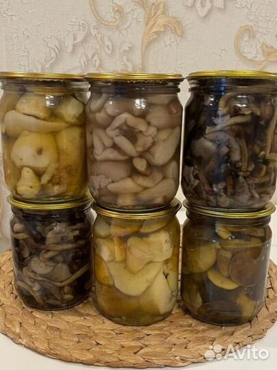 Грибы опята,польские, паутинник,грузди урожай 2023
