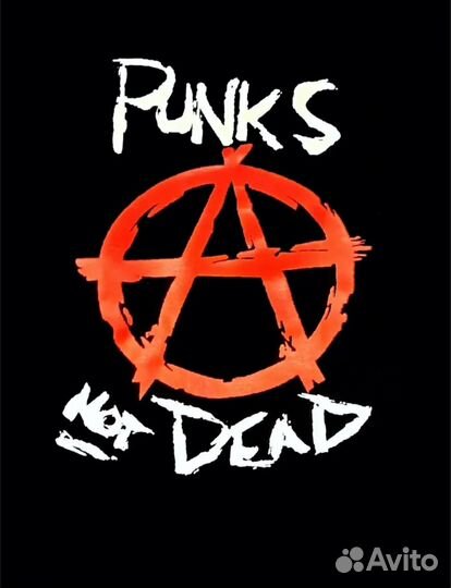 Футболка Punks Not Dead Анархия