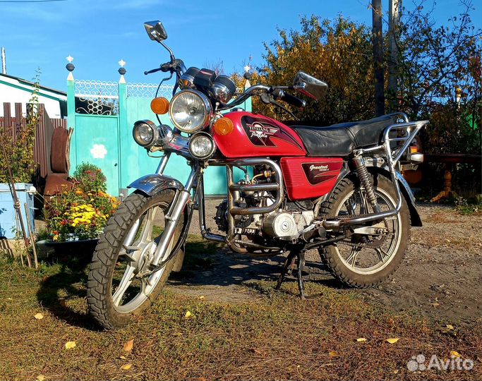 Alpha Rx lux110cc
