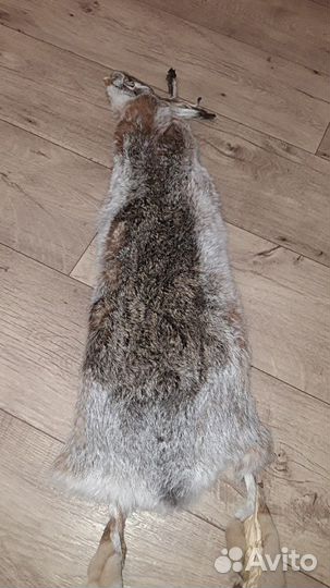 Выделка шкур