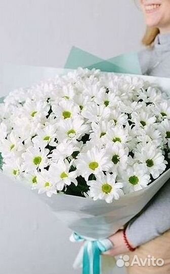 Хризантема Доставка цветов Букеты