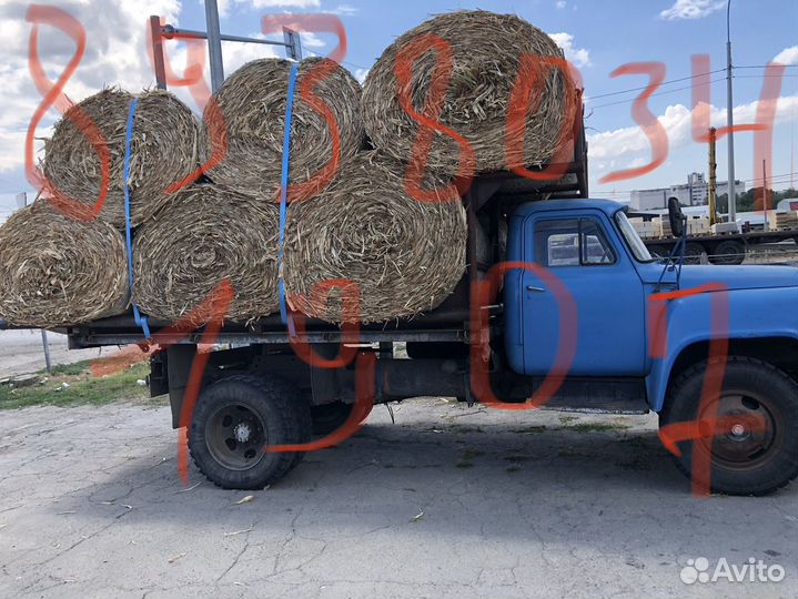 Солома кукурузы