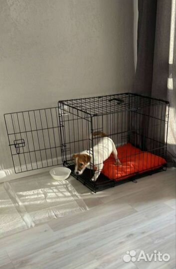 Клетка для животных