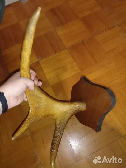 Вешалка-лосиный рог