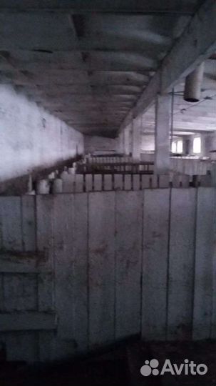 Сельхозпредриятие