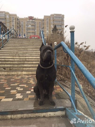 Кабель вязка