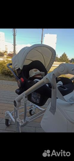 Коляска трансформер 2 в 1 Aimile Original Autumn