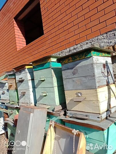 Улей для пчел бу