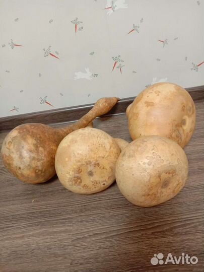 Высушенные бутылочные тыквы под роспись