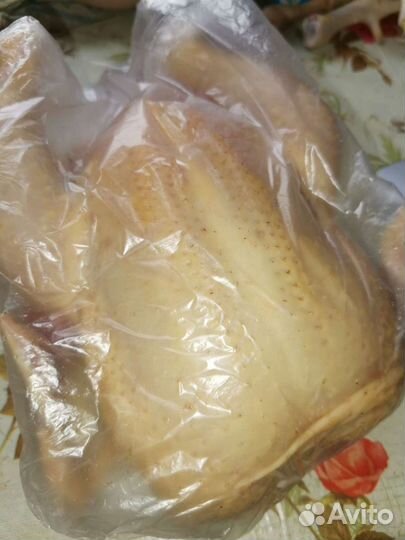 Куры бройлеры тушки мясо