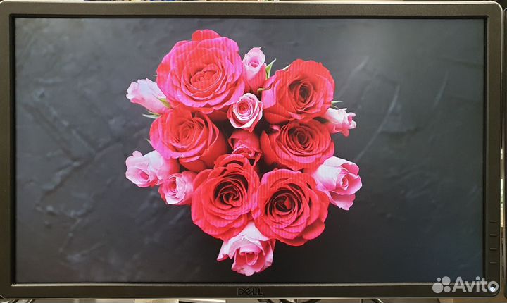 Монитор 23