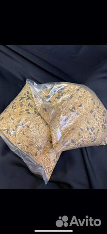 Корм для попугаев