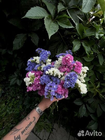 Букет из сухоцветов статицы