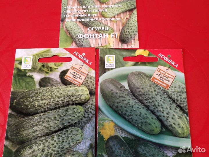 Семена огурцов