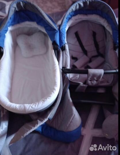 Коляска 2 в 1 adamex