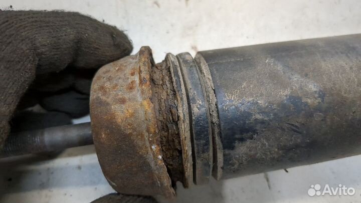 Амортизатор подвески Volkswagen Lupo, 1998