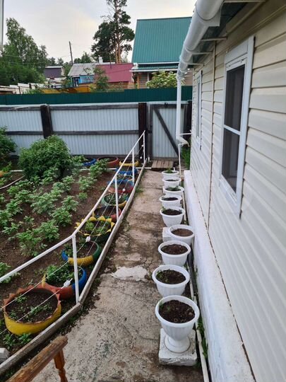 Дом 35 м² на участке 5 сот.