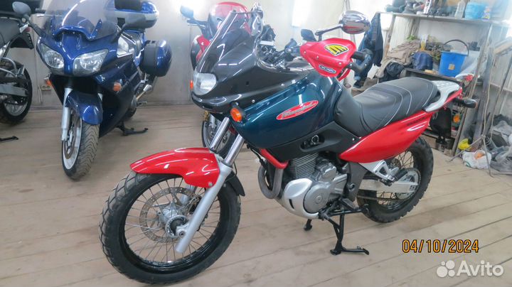 Suzuki XF650
