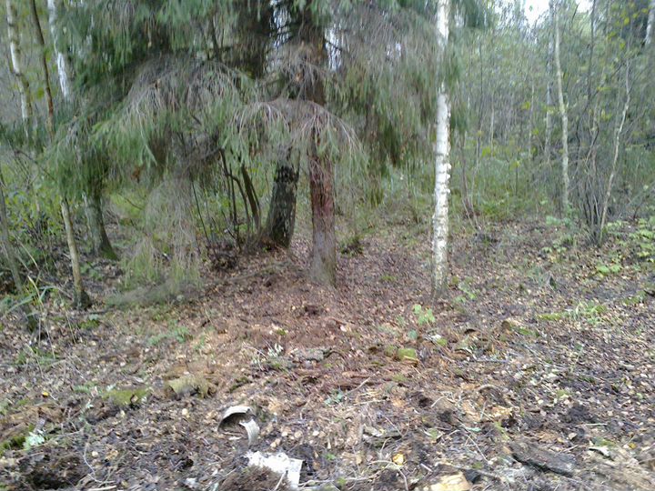 Участок 12 сот. (ИЖС)