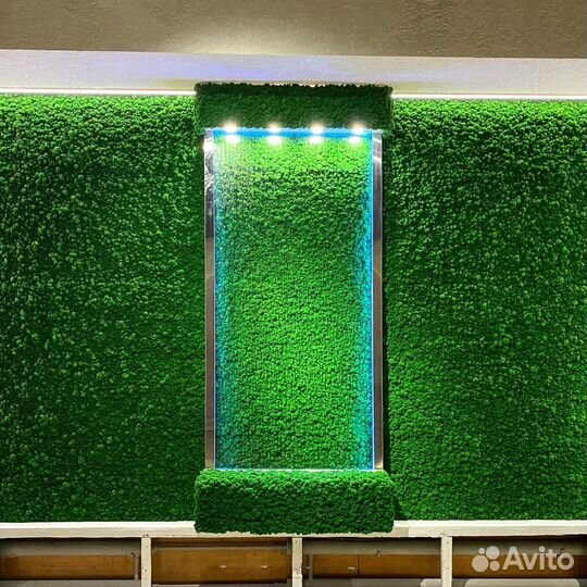 Уход за комнатными растениями