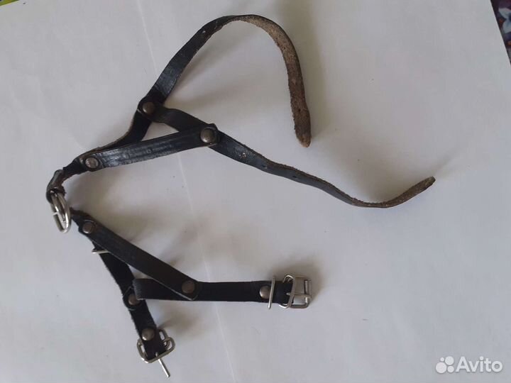 Поводки и шлейка