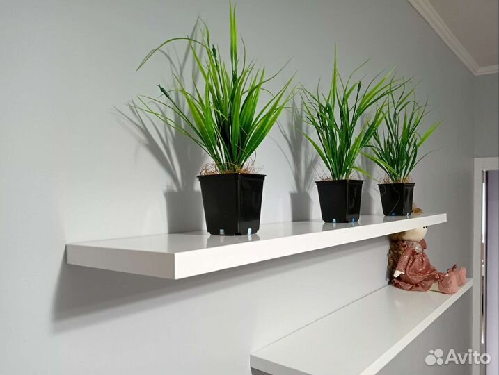 Полка настенная