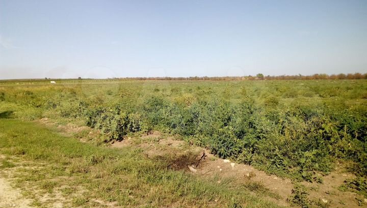 Участок 1,9 га (СНТ, ДНП)