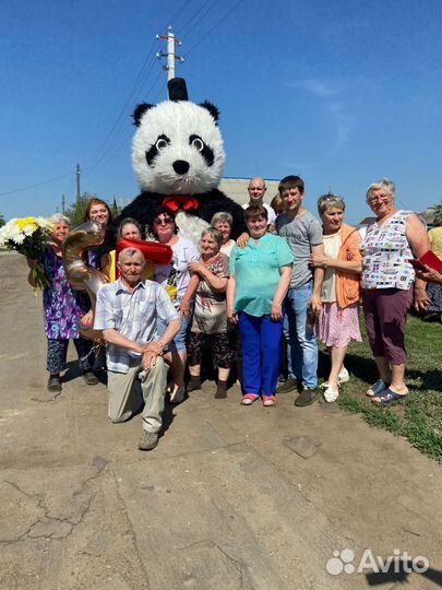 Ростовая кукла Панда и Белый медведь