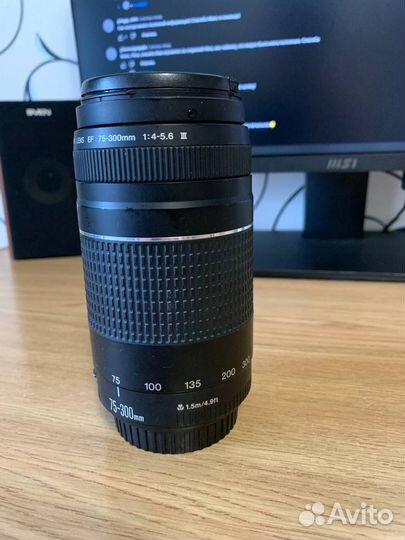 Объектив Объектив Canon EF 75-300mm F4.0-5.6 III