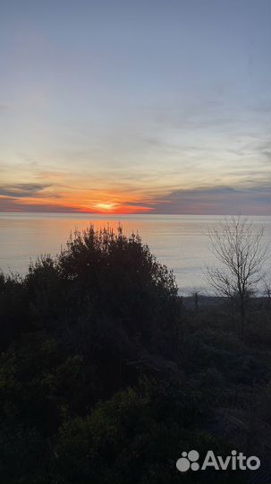 Отдых в Абхазии Сухум