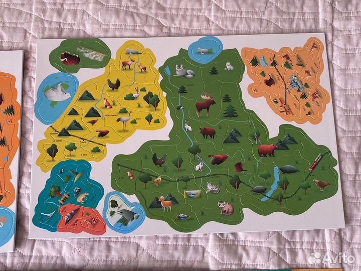 Карта России магнитная