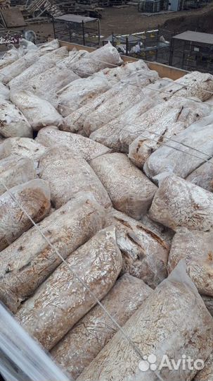 Отработанные грибные блоки