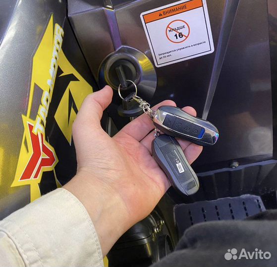 Квадроцикл motoland wild track x 200