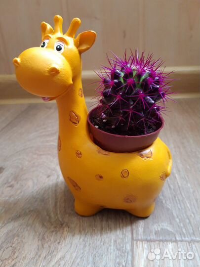 Кашпо керамика новые