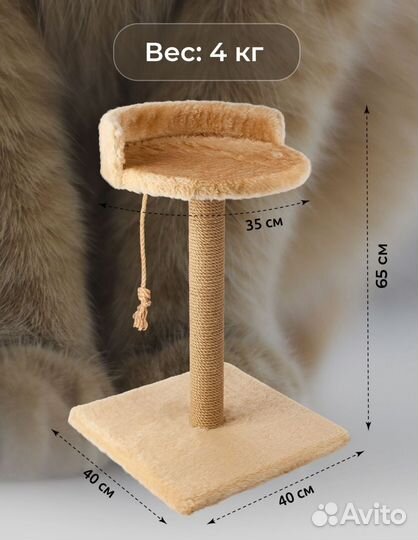 Когтеточка для кошек новая
