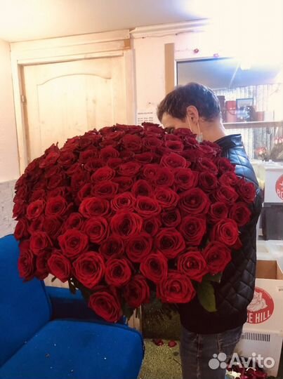 Розы 101 штука premium