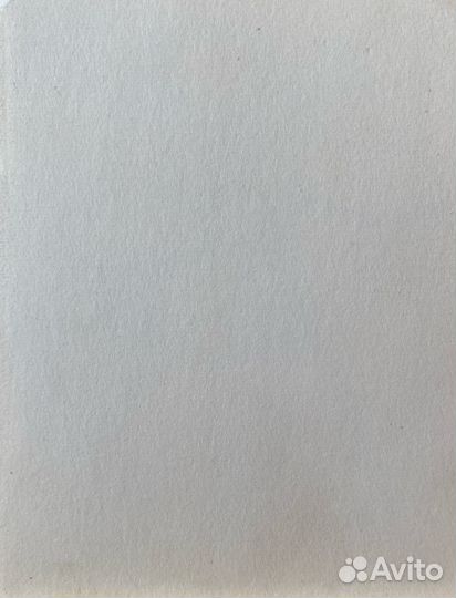 Брайнин В.Е. (1951)