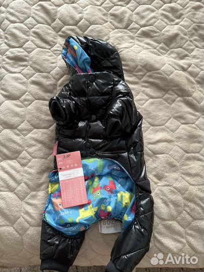 Одежда для собак мелких пород