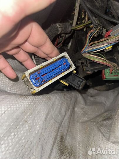 Провода блока предрхранителей пежо 206