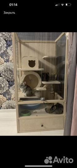 Витрина клетка для белок дегу Шиншилл хорька крыс