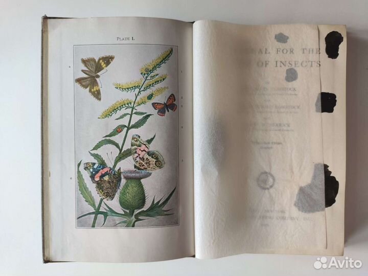 Comstock, Herrick. Manual for the study of Insects