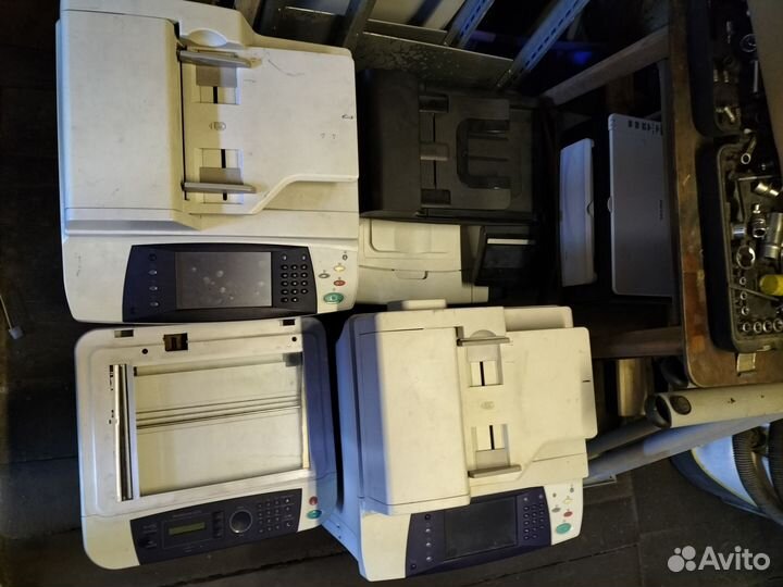 Принтеры Xerox HP Ricoh